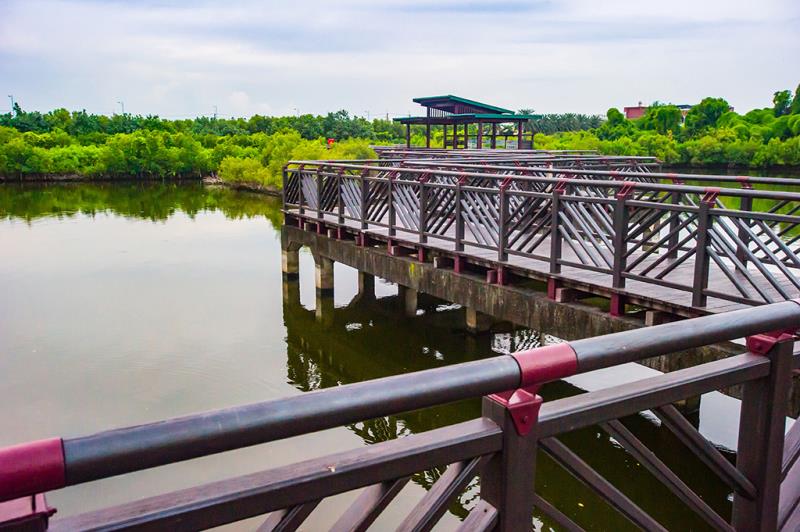 Half Day Accessible Tour in Pingtung, the lagoon Dapeng Bay